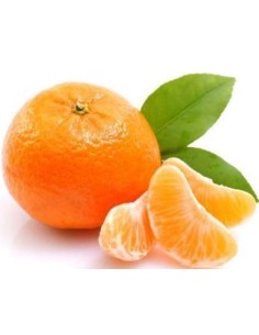 MANDARINE ORRI LE KILO (ORIG.ISRAEL)