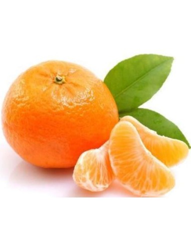 MANDARINE ORRI LE KILO (ORIG.ISRAEL)