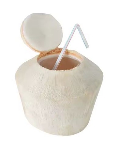 COCO A BOIRE FRAIS VN 1PIECE