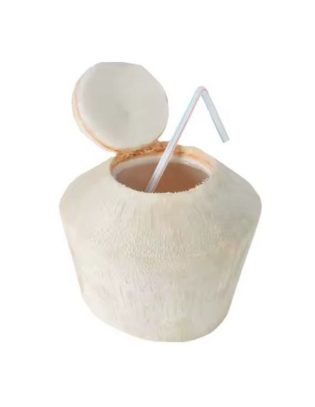 COCO A BOIRE FRAIS VN 1PIECE