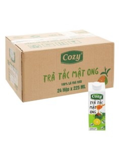 BOISSON THE PECHE CITRONNELLE KUMQUAT COZY 225ML*24/CT