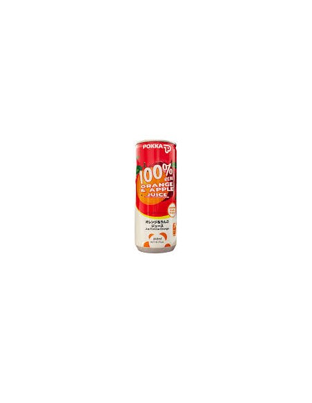 BOISSON ORANGE POKKA 240ML