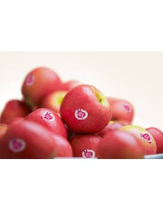 POMME PINK LADY 1KG