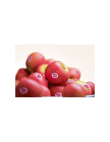 POMME PINK LADY 1KG