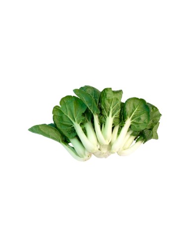 PAK SOI BLANC 1KG (ESPAGNE)