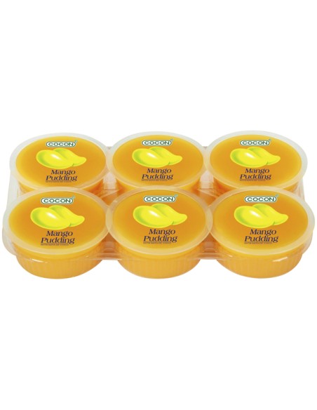 PUDDING MANGUE A/NATA COCO 480G
