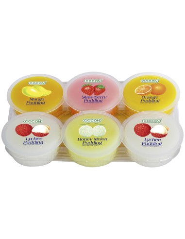 PUDDING MIXTE A/NATA COCO COCON 480G