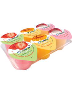 MIXED FRUIT PUDDING 130G*6