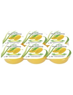 PUDDING ALOGO MANGUE COCON 480G