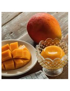 MANGO PUDDING FS 6*130G