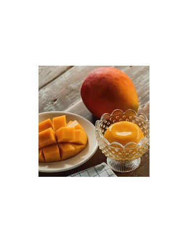 MANGO PUDDING FS 6*130G