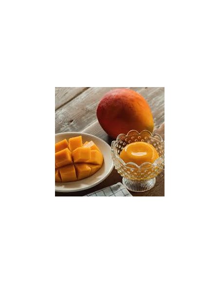 MANGO PUDDING FS 6*130G