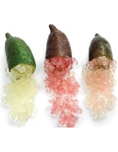 CITRON CAVIAR BARQUETTE