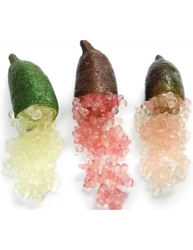 CITRON CAVIAR BARQUETTE
