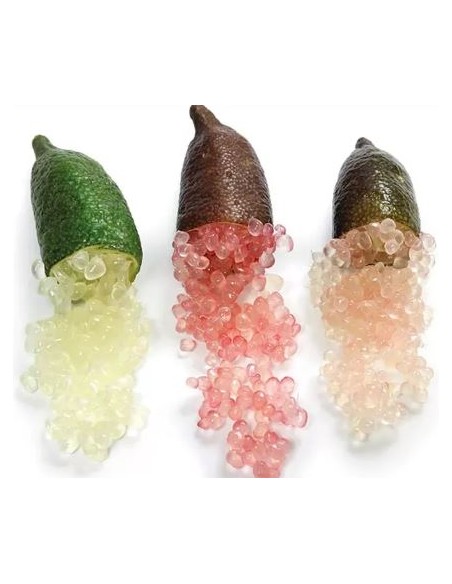 CITRON CAVIAR BARQUETTE