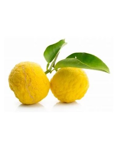 CITRON YUZU 1KG