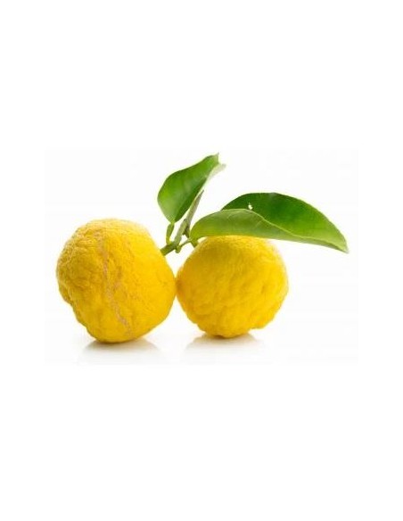CITRON YUZU 1KG