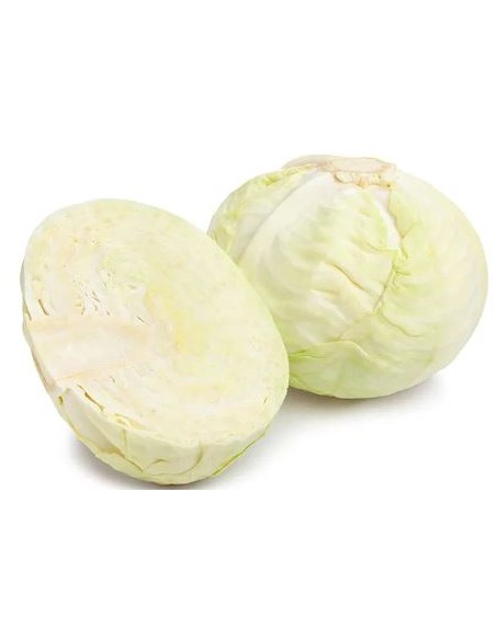 CHOU BLANC CAT1 LA PIECE (ORIG.HOL)