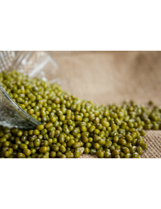 HARICOT MUNGO VERT DOUBLE PANDA 400G