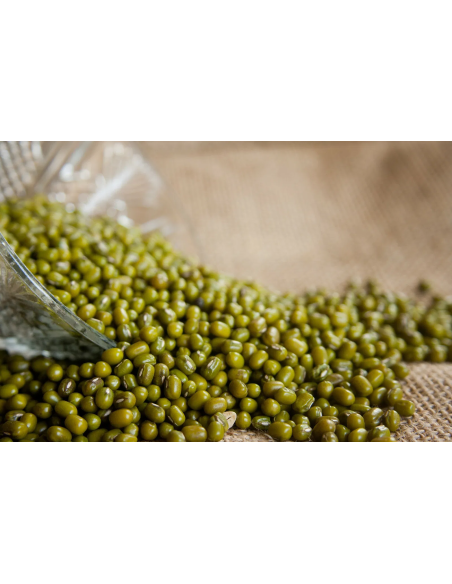 HARICOT MUNGO VERT DOUBLE PANDA 400G