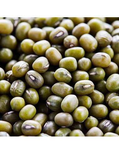 HARICOT MUNGO VERT 500G*40/CT