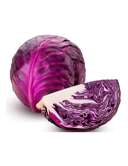 CHOU ROUGE CAT1 LA PIECE (ORIG.ESPAGNE)