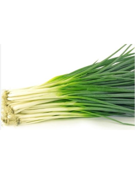 CIBOULETTE LE SACHET 100G  (ORIG.THAILANDE)