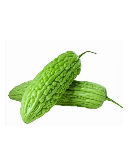 CONCOMBRE AMER FRAIS 2P (THAILANDE)