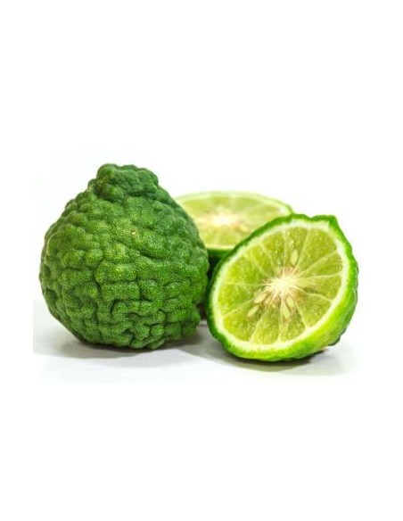 COMBAVAS LE KILO (ORIG.ESPAGNE)