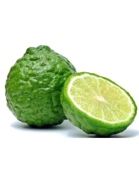 COMBAVAS LA PIECE (ORIG.COSTA RICA)