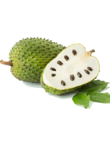 COROSSOL LE KILO (ORIG.LAOS)