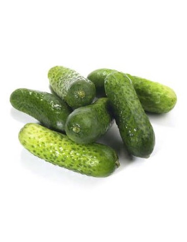 CORNICHON 1KG