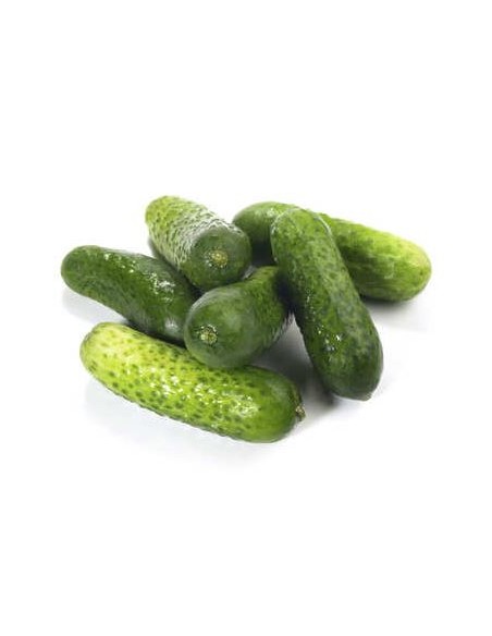 CORNICHON 1KG