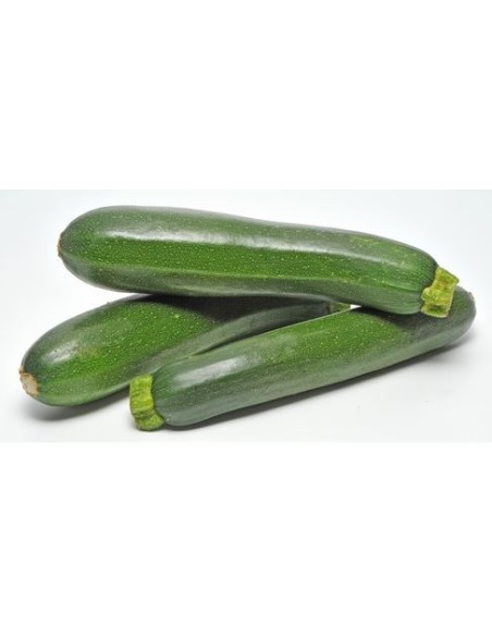 COURGETTE CAT1 LE KILO (ORIG.FRANCE)