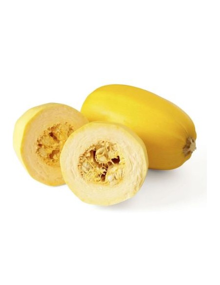 COURGE SPAGHETTI LA PIECE (ORIG.FRANCE)