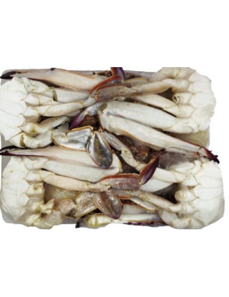 CRABE COUPE TAILLE XL EXOSTAR 800G