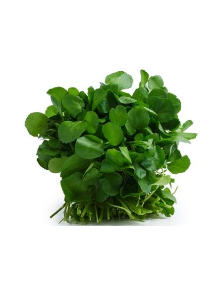 CRESSON LA PIECE (ORIG. FRANCE)