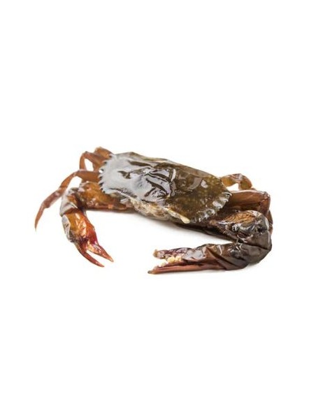 CRABE MUE THAI SIZE 90/120 EXOSTAR 1KG