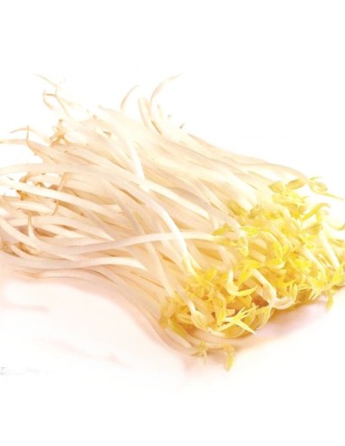 SOJA FRAIS GOLDEN TURTLE 200G