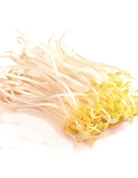 SOJA FRAIS GOLDEN TURTLE 200G