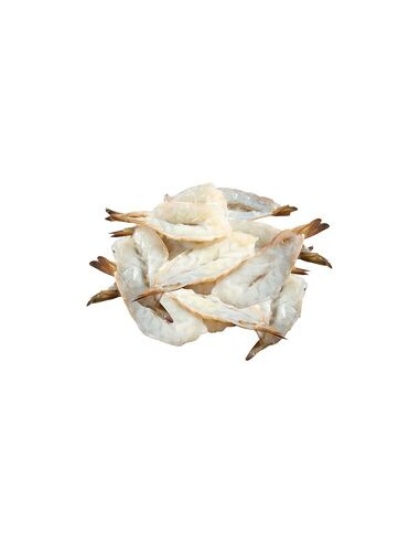 CREVETTE BUTTERFLY 1KG*10/CT