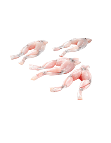 CUISSE GRENOUILLE 6/8 INDE 800G