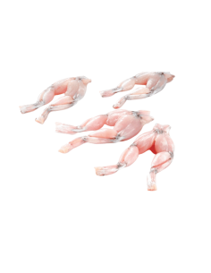 CUISSE GRENOUILLE 8/12 INDE 1KG