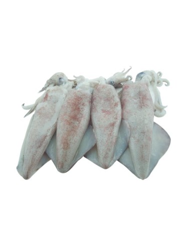 ENCORNET ENTIER NETT 10/20 800G