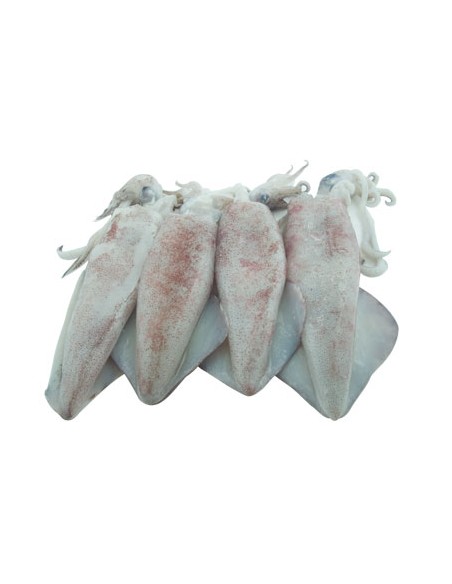 ENCORNET ENTIER NETT 10/20 800G