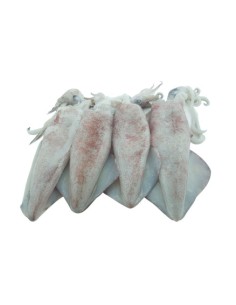 ENCORNET NETTOYE 10/20 800G*10/CT