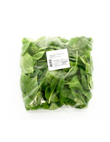 SALADE JEUNE POUSSE EPINARD 1BARQUETTE 125G