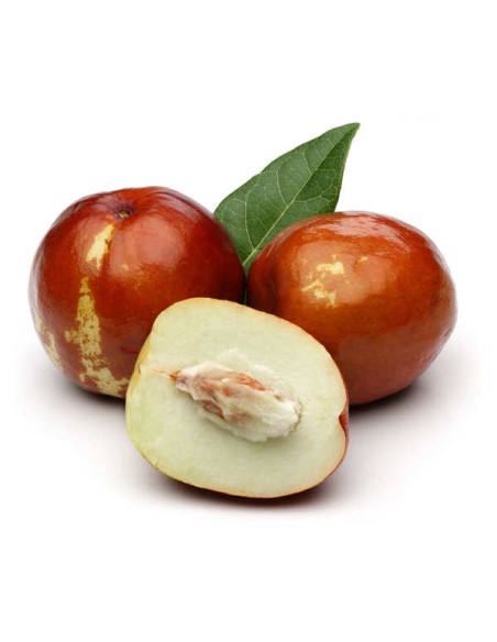 JUJUBE FRAIS 500G (ESPAGNE)