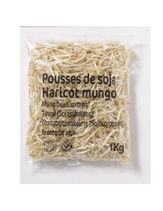 SOJA FRAIS GOLDEN TURTLE 400G