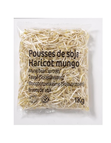 SOJA FRAIS GOLDEN TURTLE 400G